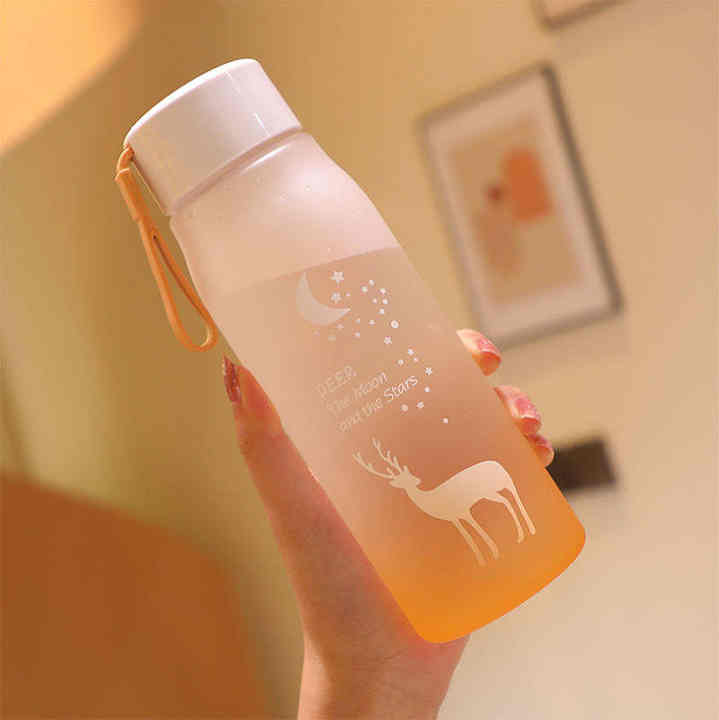 550Ml Printed Beautiful Leak Proof Direct Drinking Plastic Water Bottles With Strap for Girls