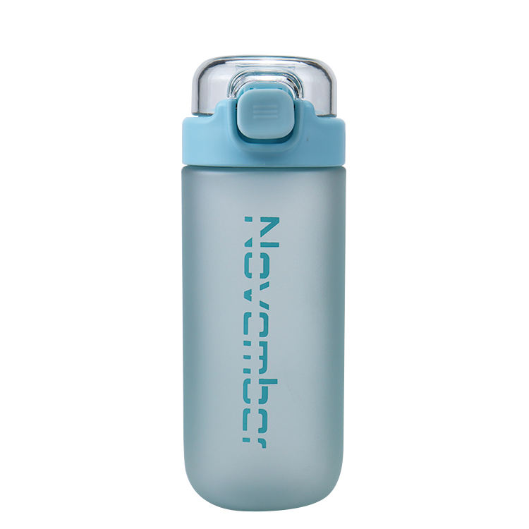 500ml/600ml BPA Free Sports Plastic Water Bottle Leakproof Frosted Fitness Sports Water Bottle with Handle