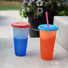 Changing Color Cup/Cold Color-Changing Cup Color Changing Mugs Magic Mug