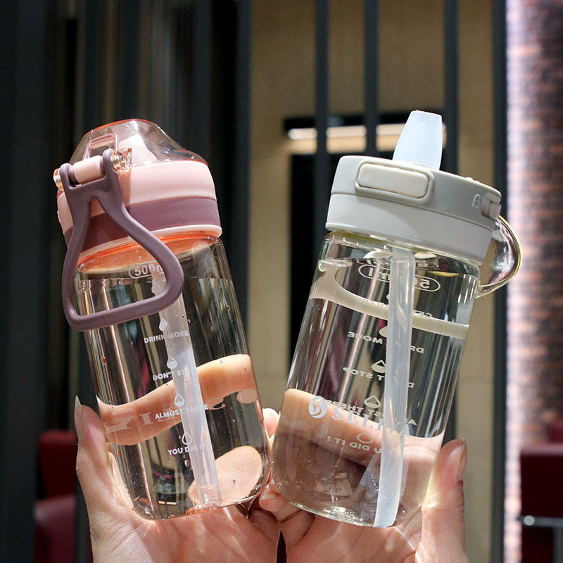 500ml Wholesale Custom Multi-style Clear Minimalist Modern Sports Portable Plastic Water Bottle With Handle and Straw