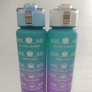 1L 34oz Gallon Colorful Frosted Plastic Sports Drink Water Bottle with Long Straw