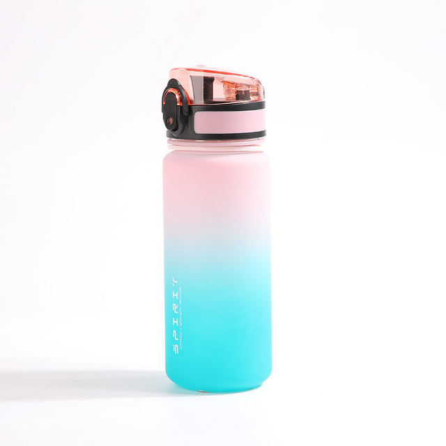 500ML and 1000ML Leakproof BPA Free Tritan Plastic Drinking Water Bottle with Time Marker