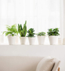 Eco-friendly BPA Free Plant Pot Indoor Unbreakable Custom Printed Bamboo Fiber Flower Pot for Garden