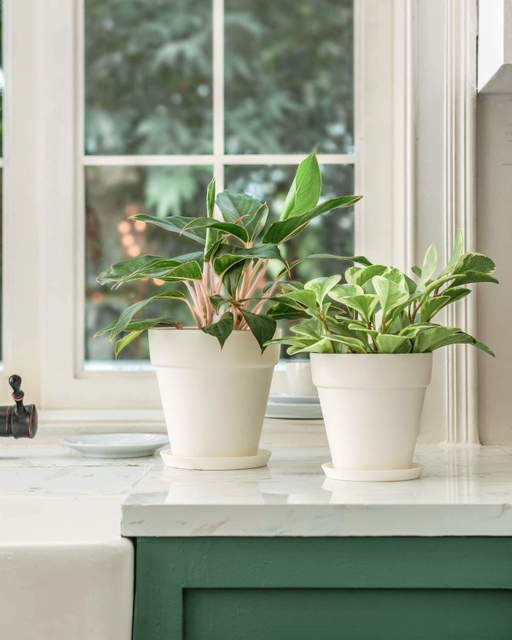 Eco-friendly BPA Free Plant Pot Indoor Unbreakable Custom Printed Bamboo Fiber Flower Pot for Garden