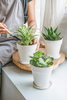 Eco-friendly BPA Free Plant Pot Indoor Unbreakable Custom Printed Bamboo Fiber Flower Pot for Garden
