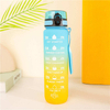 1000ML BPA Free Motivational Outdoor Tritan Plastic Water Straw Bottle With Handle