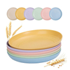 10" 25.4CM Big Paille De Ble Assiette Salad Cereal Biodegradable RPET Plastic Plate for Kitchen
