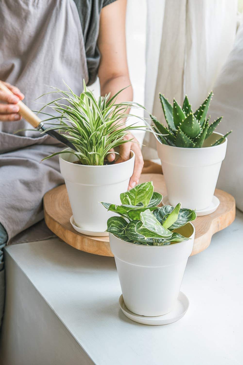 Table Decorative Fancy Lazy Mini Small Plastic Wholesale Herb Orchid Succulent Plants Planter Plant Pot Flowerpot