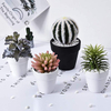 Reject Plastic Flowerpot for Garden, for Nurseries,bamboo Fiber Flowerpots