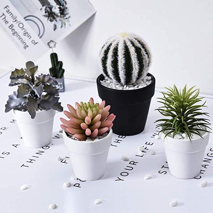Reject Plastic Flowerpot for Garden, for Nurseries,bamboo Fiber Flowerpots