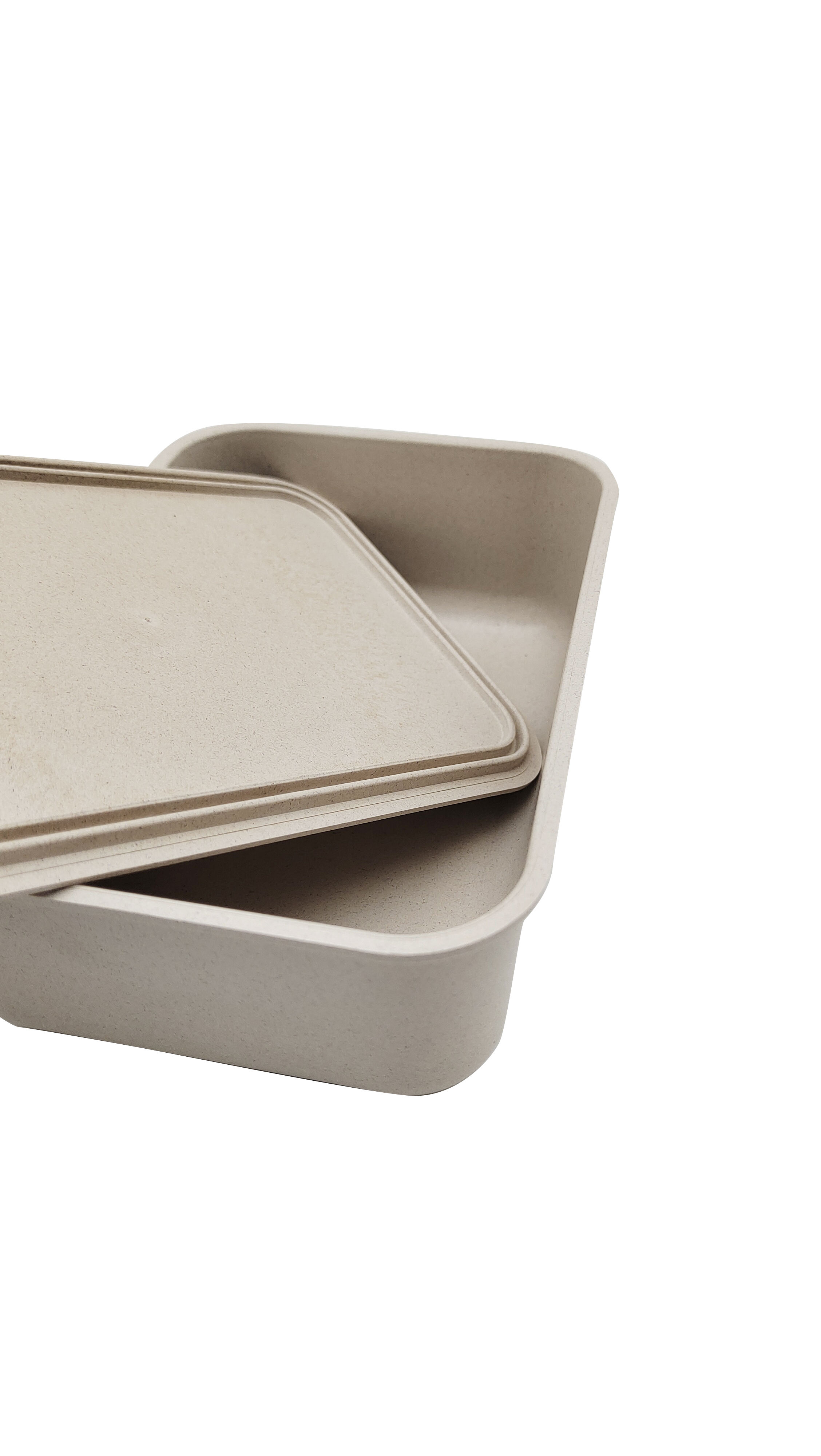 Reusable Custom Logo PLA PP Wheat Straw RPET Bento Box Bamboo Fiber Lunch Box with Silicone Band