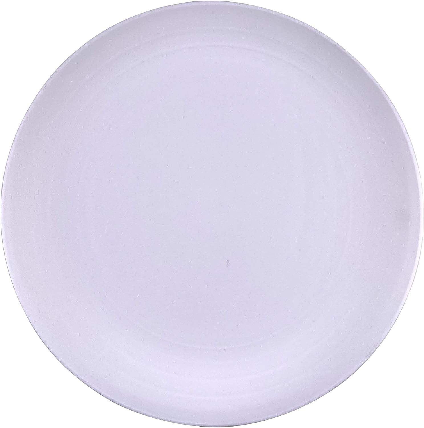 BPA FREE LARGE RPET PLASTIC PLATE REUSABLE PLATE DISHWASHER SAFE 8 9 10inch DINNER PLATE CUSTOMIZE COLORS and LOGOS