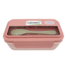 Modern Design Plastic Lunch Box Microwavable for Kitchen Use for Food on the Go for Camping