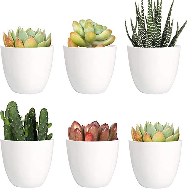 Table Decorative Fancy Lazy Mini Small Plastic Wholesale Herb Orchid Succulent Plants Planter Plant Pot Flowerpot