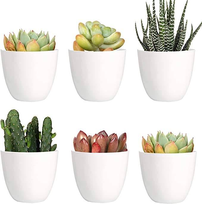 Table Decorative Fancy Lazy Mini Small Plastic Wholesale Herb Orchid Succulent Plants Planter Plant Pot Flowerpot