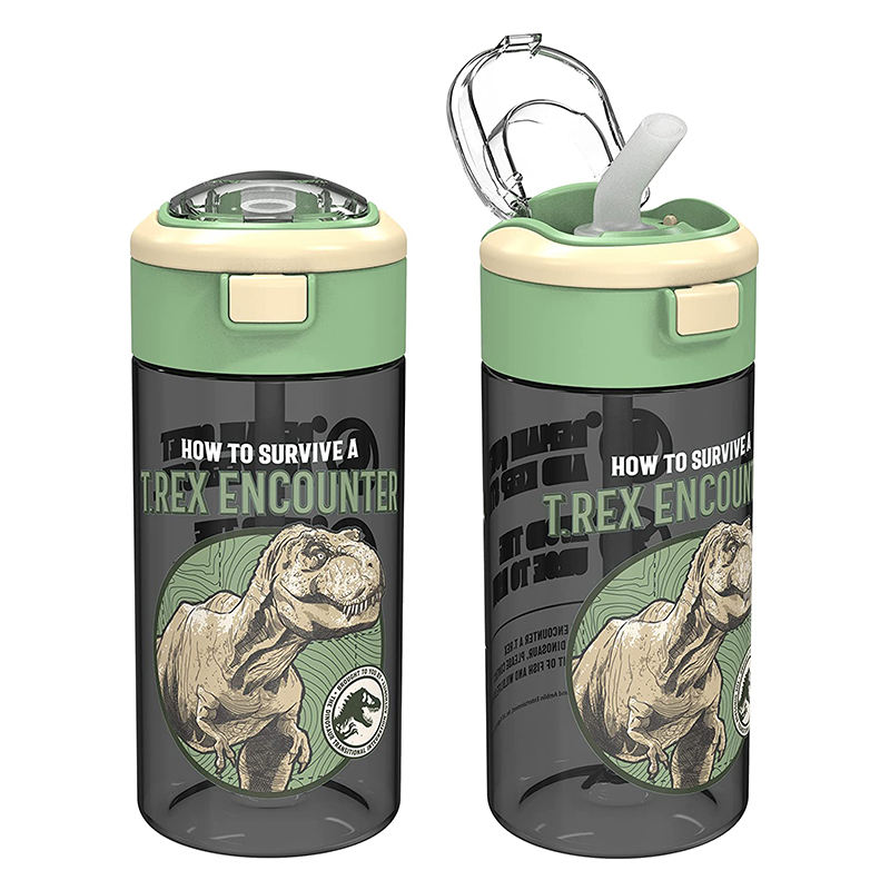 420ml Custom logo Printing Mist Spray Plastic Sports Water Bottle for School Kids