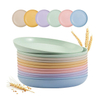 10" 25.4CM Big Paille De Ble Assiette Salad Cereal Biodegradable RPET Plastic Plate for Kitchen