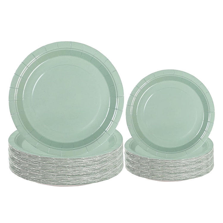 RPET 9 Inch Round Dinner Party Plates Dessert Plate for Wedding Baby Shower Birthday Bridal Shower Party Supplies