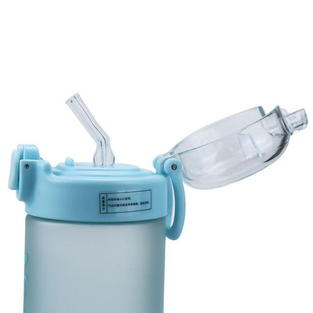 500ml/600ml BPA Free Sports Plastic Water Bottle Leakproof Frosted Fitness Sports Water Bottle with Handle