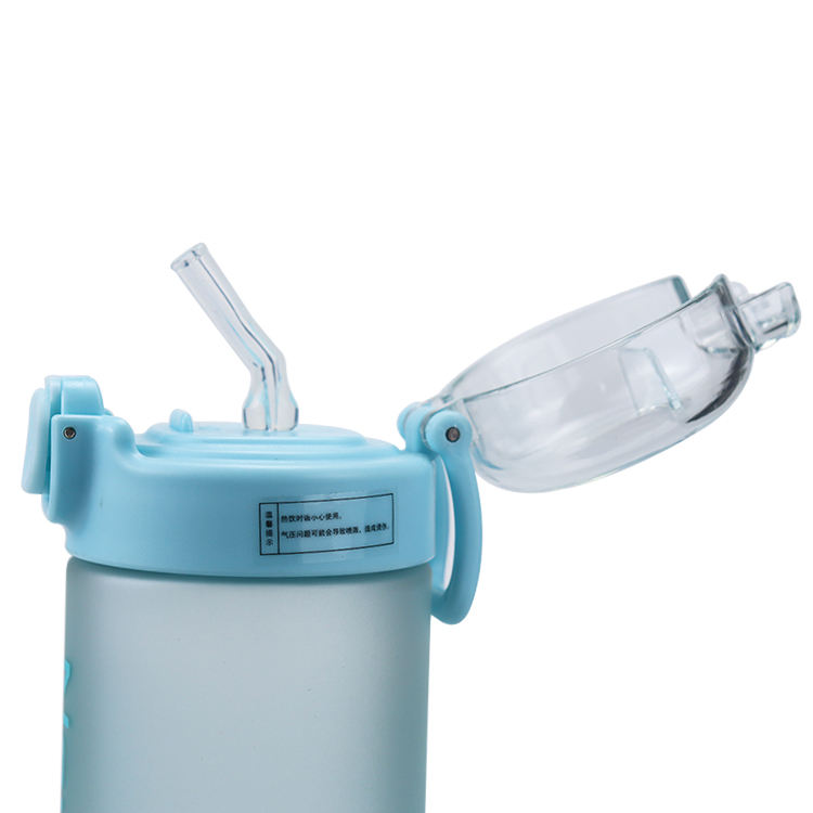 500ml/600ml BPA Free Sports Plastic Water Bottle Leakproof Frosted Fitness Sports Water Bottle with Handle