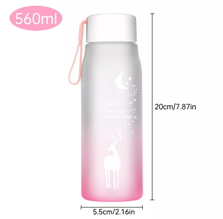 560ml Hot Sales Small Capacity Custom Logo BPA Free Plastic Water Bottle for Girls and Boys to Hiking