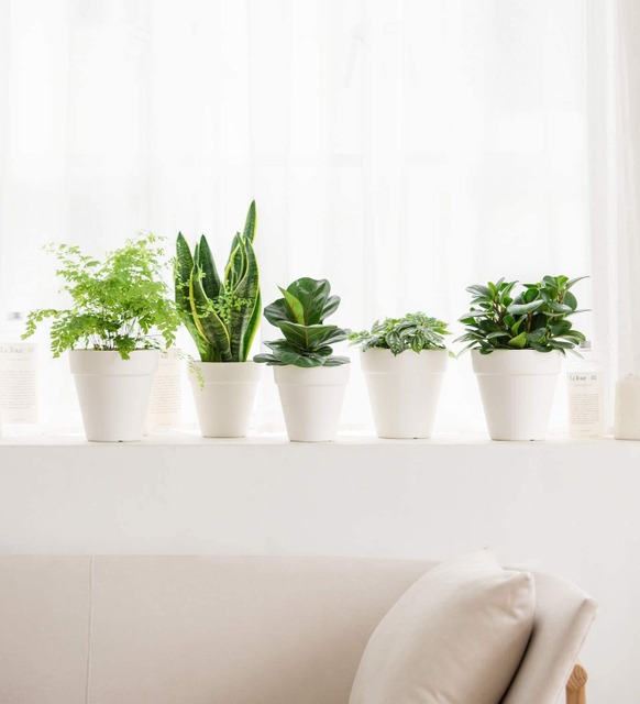 Reject Plastic Flowerpot for Garden, for Nurseries,bamboo Fiber Flowerpots