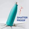 17oz Stainless Steel Water Bottles Double Wall Vacuum Reusable Water Bottles Leak Proof BPA-FREE Insulated Water Bottle