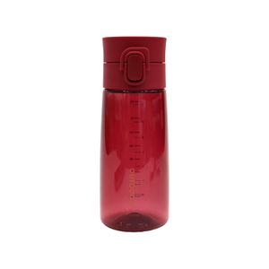 Good Quality Free Sample Travel Drinking Transparent Plastic Shaker Sport Water Bottle With Customized Brand