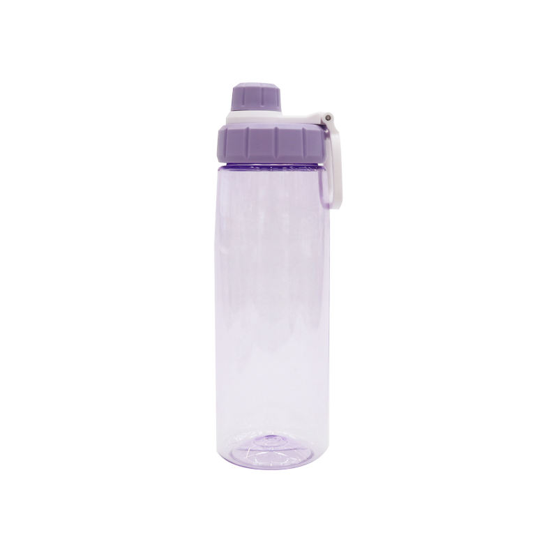 Leakproof Portable Transparent Clear Plastic Water Bottle Direct Drinking 750Ml With Handle