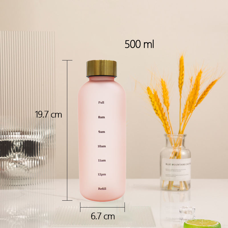 Factory Wholesale Low Price 500ml Motivational Frosted Water Bottles High Quality Plastic Water Bottle
