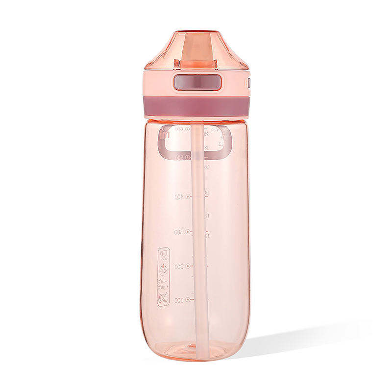500ml Wholesale Custom Multi-style Clear Minimalist Modern Sports Portable Plastic Water Bottle With Handle and Straw