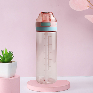 26Oz BPA-Free 750ml Transparent Reusable Water Bottle with Straw Perfect for Gym Sports