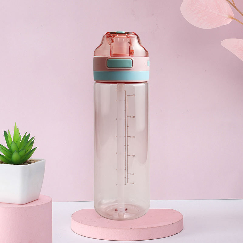 26Oz BPA-Free 750ml Transparent Reusable Water Bottle with Straw Perfect for Gym Sports