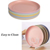 RPET Plato De Paja De Trigo Custom Kitchen Wheat Straw Dinnerware Set Dinner Plates