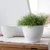 Table Decorative Fancy Lazy Mini Small Plastic Wholesale Herb Orchid Succulent Plants Planter Plant Pot Flowerpot