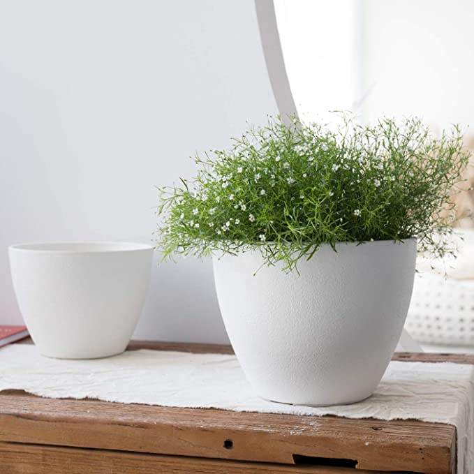 Table Decorative Fancy Lazy Mini Small Plastic Wholesale Herb Orchid Succulent Plants Planter Plant Pot Flowerpot