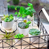 Table Decorative Fancy Lazy Mini Small Plastic Wholesale Herb Orchid Succulent Plants Planter Plant Pot Flowerpot