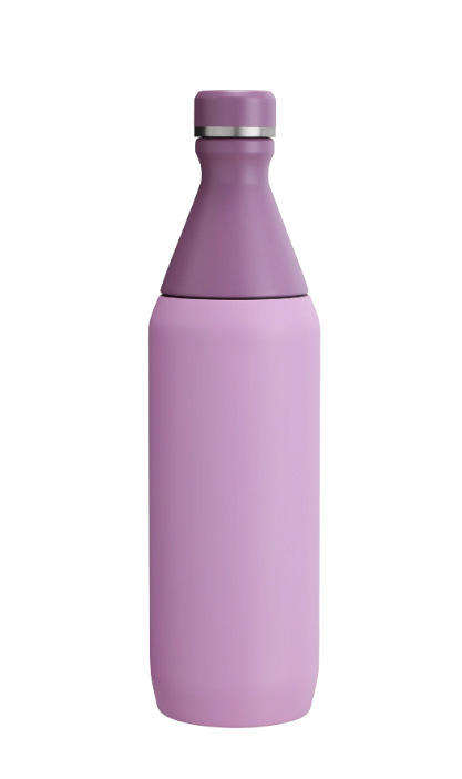 20oz Camping Coffee Cups Stainless Steel Double Wall Eco-friendly Removable Travel coke Water Bottle