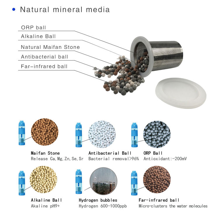 650ml BPA FREE ALKALINE Balance Plastic Nature Mineral Medi Plastic Water Bottles LEAK PROOF WATER BOTTLE