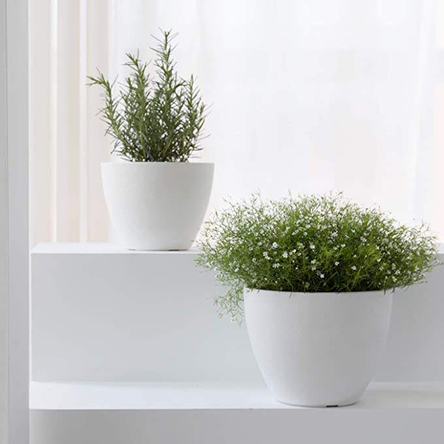 Table Decorative Fancy Lazy Mini Small Plastic Wholesale Herb Orchid Succulent Plants Planter Plant Pot Flowerpot