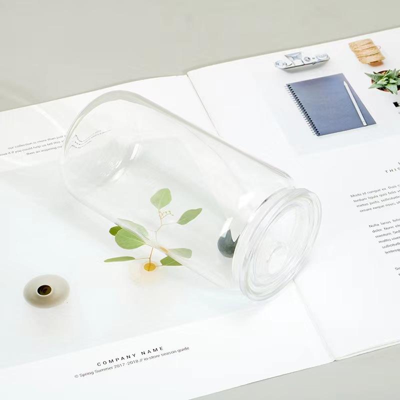 16Oz Cheap Stylish Modern Aesthetic Crystal Glass Water Bottles Cup With Long Straw