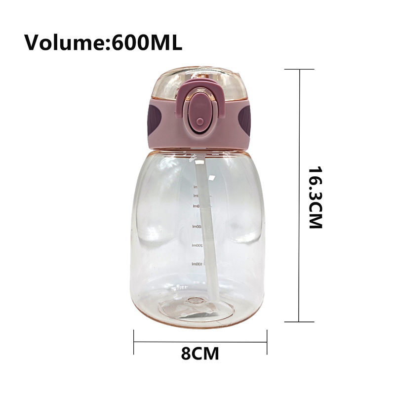 Custom Logo 600Ml Graduated Clear Transparent Kids Plastic Water Bottle Wholesale Bottles With Handle