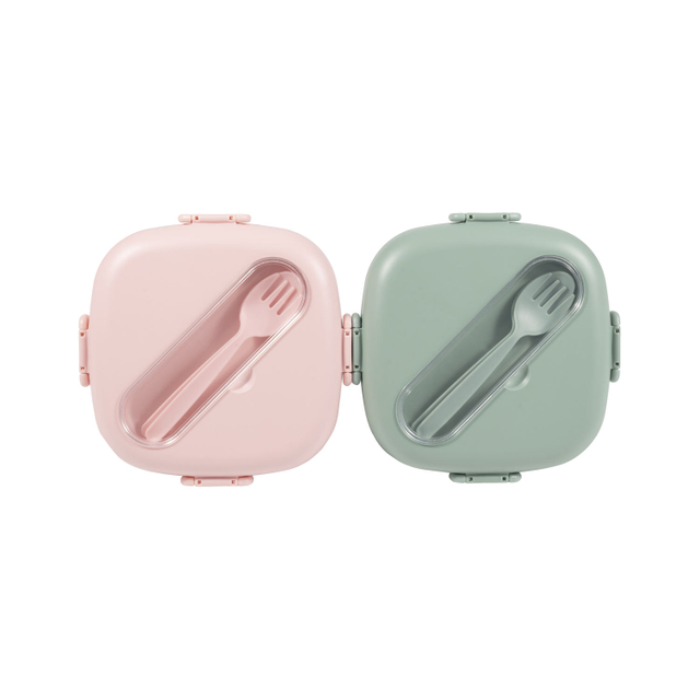 650ml RPET Lunch Box Eco- Friendly Suitable for Everyone Comes with Locking Lid with a Fork and a Spoon