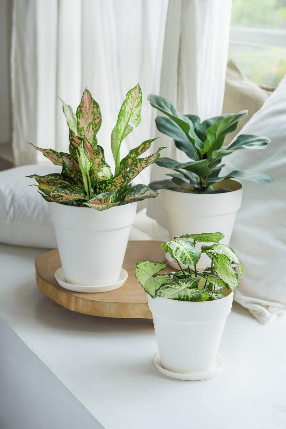 Eco-friendly BPA Free Plant Pot Indoor Unbreakable Custom Printed Bamboo Fiber Flower Pot for Garden