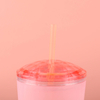 2024 New 700ML Candy Color Contrast Summer New Party Plastic Water Tumbler Bottle With Straw