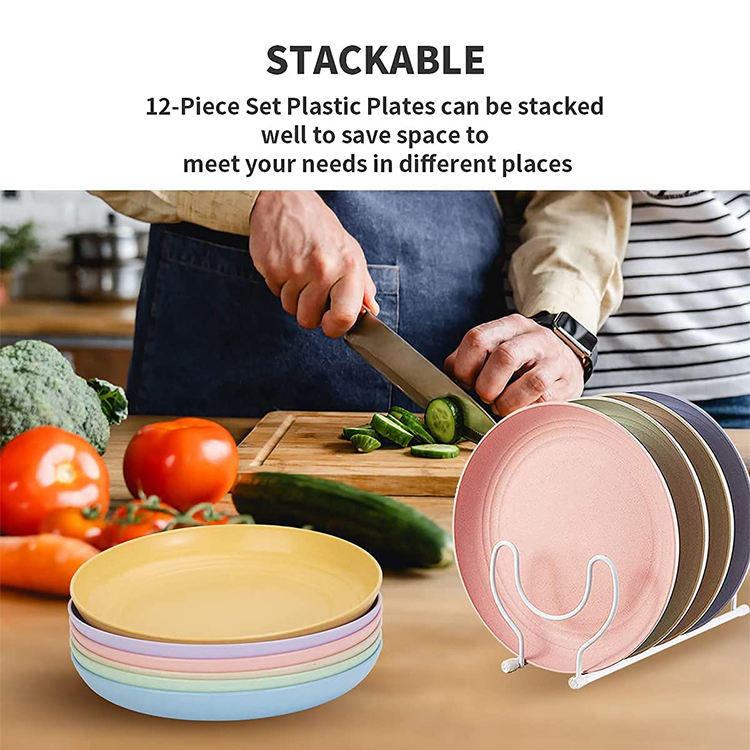 10" 25.4CM Big Paille De Ble Assiette Salad Cereal Biodegradable RPET Plastic Plate for Kitchen