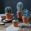 Reject Plastic Flowerpot for Garden, for Nurseries,bamboo Fiber Flowerpots