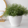 Table Decorative Fancy Lazy Mini Small Plastic Wholesale Herb Orchid Succulent Plants Planter Plant Pot Flowerpot