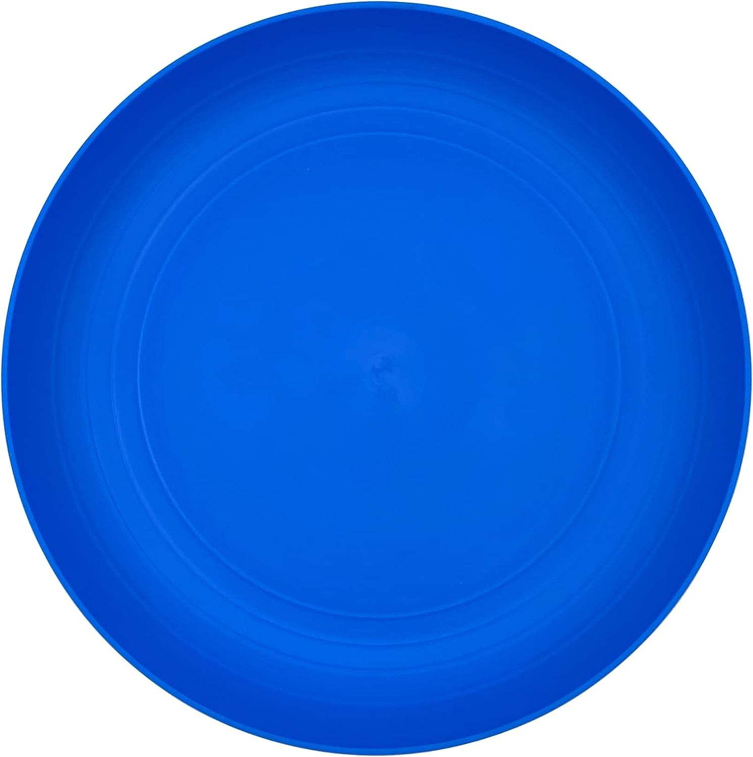 BPA FREE LARGE RPET PLASTIC PLATE REUSABLE PLATE DISHWASHER SAFE 8 9 10inch DINNER PLATE CUSTOMIZE COLORS and LOGOS