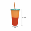 Changing Color Cup/Cold Color-Changing Cup Color Changing Mugs Magic Mug